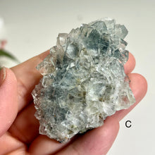 Load image into Gallery viewer, Glass Fluorite Crystal Cluster– Green Cubic Fluorite with Pyrolusite on Matrix
