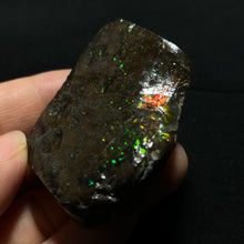 Load image into Gallery viewer, Natural Ammolite Fossil from Canada — Green & Blue Iridescence | Genuine Ammonite Shell Slice