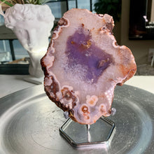 Load image into Gallery viewer, High quality - blue agate flower slab / slice