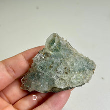 Load image into Gallery viewer, Glass Fluorite Crystal Cluster– Green Cubic Fluorite with Pyrolusite on Matrix