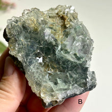 Load image into Gallery viewer, Glass Aquatic Fluorite on Matrix with Manganese Oxide – Natural Green Fluorite Crystal Specimen (A / B)