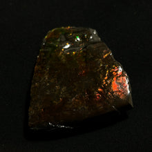 Load image into Gallery viewer, Premium Canadian Ammolite Fossil — Natural Fire Red & Green Iridescence | Rare Ammonite Gem Slice