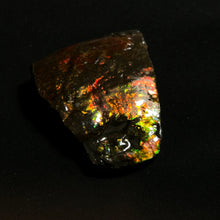 Load image into Gallery viewer, Premium Canadian Ammolite Fossil — Natural Fire Red & Green Iridescence | Rare Ammonite Gem Slice