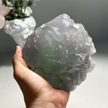 Load image into Gallery viewer, Natural Stepped Fluorite Cluster - High Clarity Bi-Color Fujian Crystal Specimen