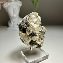 Load image into Gallery viewer, Rare - Top Quality Yellow Calcite on Matrix with Pyrite – Anhui, China