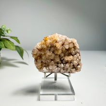 Load image into Gallery viewer, Golden Grape Calcite Cluster – Natural Botryoidal Calcite for Home Decor and Crystal Collection
