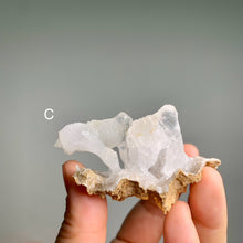 Load image into Gallery viewer, Rare - art shape crystalline crystal cluster