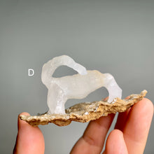 Load image into Gallery viewer, Rare - art shape crystalline crystal cluster