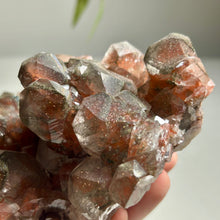 Load image into Gallery viewer, Hematite-Type Calcite Cluster | Daye Mine China | Natural Sparkling Mineral Specimen