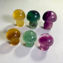Load image into Gallery viewer, High quality - fluorite mushrooms (blind pick)