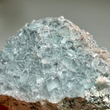 Load image into Gallery viewer, Xianghualing Fluorite with Quartz | Pale Blue Cubic Crystals | Hunan, China