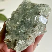 Load image into Gallery viewer, Glassy Green Fluorite on Matrix with Pyrolusite | Natural Mineral Specimen | Collector Display Stone