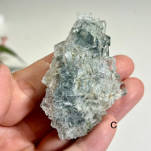 Load image into Gallery viewer, Glass Fluorite Crystal Cluster– Green Cubic Fluorite with Pyrolusite on Matrix