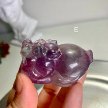 Load image into Gallery viewer, High quality - fluorite Pixiu