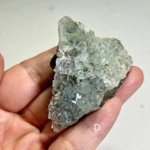 Load image into Gallery viewer, Glass Fluorite Crystal Cluster– Green Cubic Fluorite with Pyrolusite on Matrix