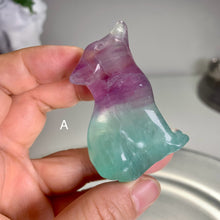 Load image into Gallery viewer, High quality - Fluorite wolf / fluorite snail