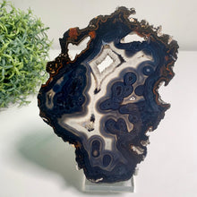 Load image into Gallery viewer, Rare - Black banding agate slab with druzy / agate slice with druzy