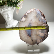 Load image into Gallery viewer, Large Blue & Pink Flower Agate Slice from Madagascar — Premium Crystal Slab with Floral Chalcedony Core