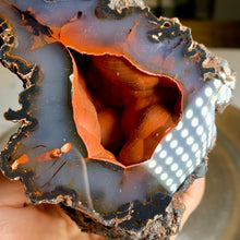 Load image into Gallery viewer, Rare - high quality Argentina red fox agate geode with UV reaction