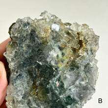 Load image into Gallery viewer, Glass Aquatic Fluorite on Matrix with Manganese Oxide – Natural Green Fluorite Crystal Specimen (A / B)