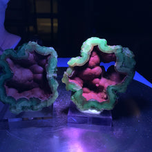 Load image into Gallery viewer, Rare - High quality Argentina red fox agate geode pair with UV reaction