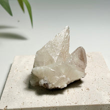 Load image into Gallery viewer, White Dog-tooth Calcite Cluster — Clear Pointed Calcite Crystals with Natural Sparklew