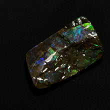 Load image into Gallery viewer, Premium Blue & Green Fire Ammolite Fossil from Canada — Iridescent Gem-Quality Ammolite Slice