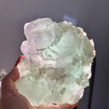 Load image into Gallery viewer, Natural Stepped Fluorite - High Clarity Bi-color Green & Purple Cubic Crystal Specimen