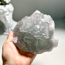 Load image into Gallery viewer, Natural Stepped Fluorite Cluster - High Clarity Bi-Color Fujian Crystal Specimen