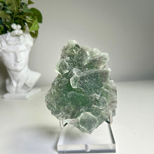 Load image into Gallery viewer, Large Green Nipple Fluorite Thick Frosted Raw Fluorite Cluster Natural Mineral Specimen