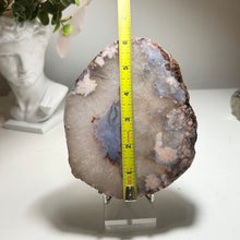 Load image into Gallery viewer, Large Blue & Pink Flower Agate Slice from Madagascar — Premium Crystal Slab with Floral Chalcedony Core