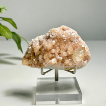 Load image into Gallery viewer, Pink Botryoidal Calcite Cluster with Honey Calcite Point