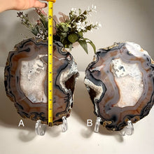 Load image into Gallery viewer, Rare - Top Quality Brazilian Agate Slice – Natural Banding & Translucent Glow