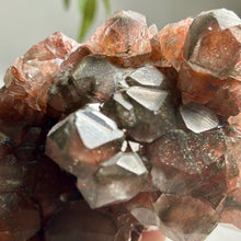 Load image into Gallery viewer, Hematite-Type Calcite Cluster | Daye Mine China | Natural Sparkling Mineral Specimen