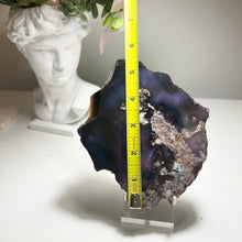 Load image into Gallery viewer, Blue Flower Agate Slice from Madagascar — Polished Chalcedony Slab with Natural Floral Patterns