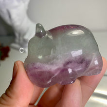 Load image into Gallery viewer, High quality - fluorite turtle/fluorite hippopotamus