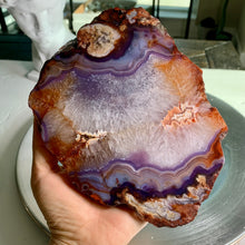Load image into Gallery viewer, High quality - blue flower agate slab/ slice