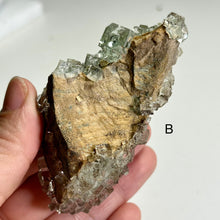 Load image into Gallery viewer, Glassy Moss Fluorite on Matrix | Natural Green Fluorite Crystal | Mineral Specimen | Home Decor | A or B