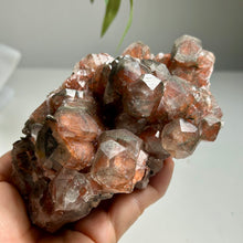 Load image into Gallery viewer, Hematite-Type Calcite Cluster | Daye Mine China | Natural Sparkling Mineral Specimen