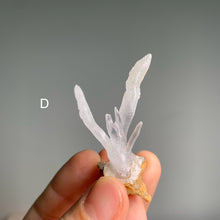 Load image into Gallery viewer, Rare - art shape crystalline crystal cluster