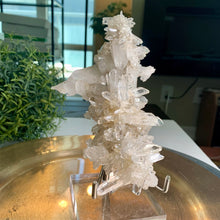 Load image into Gallery viewer, Rare - high quality lemurian quartz cluster