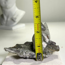 Load image into Gallery viewer, Calcite Crystal with Fluorite and Pyrite | Daye Mine China | Natural Mineral Specimen