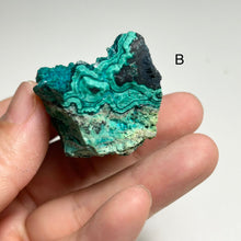 Load image into Gallery viewer, Natural Chrysocolla on Matrix from Peru | Blue Green Copper Mineral Specimens | Select A or B