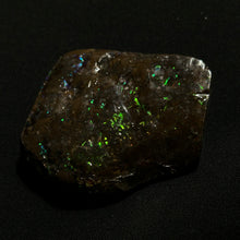 Load image into Gallery viewer, Natural Ammolite Fossil from Canada — Green & Blue Iridescence | Genuine Ammonite Shell Slice