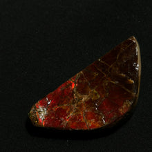 Load image into Gallery viewer, Natural Red Ammolite Fossil Slice from Alberta Canada | Fire Iridescence | Collectible Gemstone