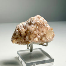 Load image into Gallery viewer, Pink Botryoidal Calcite Cluster with Honey Calcite Point