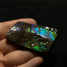 Load image into Gallery viewer, Premium Blue & Green Fire Ammolite Fossil from Canada — Iridescent Gem-Quality Ammolite Slice