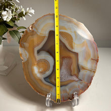 Load image into Gallery viewer, Top Quality Agate Slice from Brazil – Creamy Bands & Druzy Center (free stand)