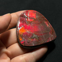 Load image into Gallery viewer, Premium Red Fire Ammolite Fossil from Canada — Gem-Grade Ammonite Slice with Deep Crimson Iridescence