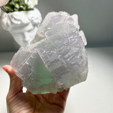 Load image into Gallery viewer, Large Natural Stepped Fluorite Cluster - High Clarity Bi-Color Fujian Crystal